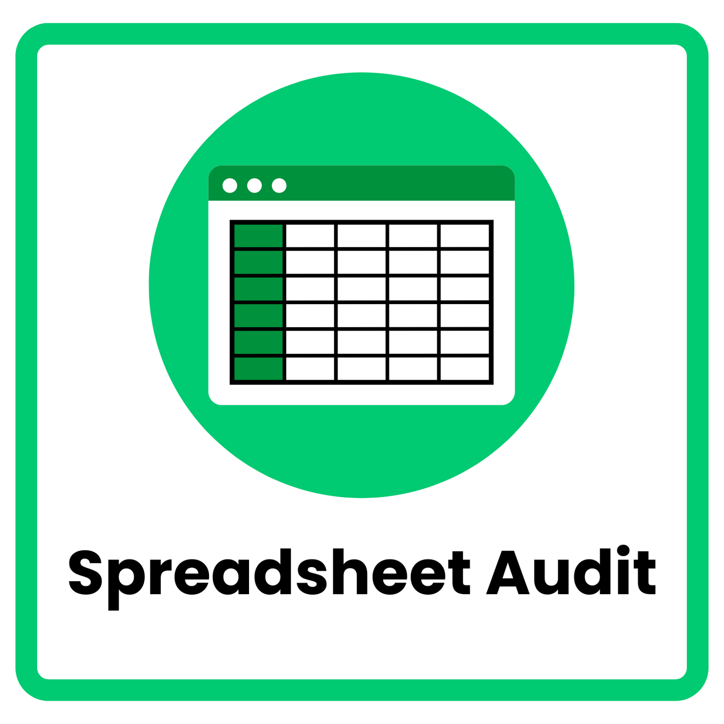 Spreadsheet Audit